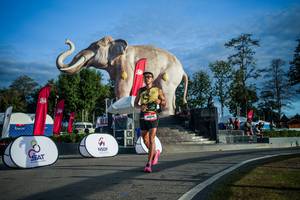 BIB: 
                            <button type="button" onclick="openModal(26541613)" class="btn btn-primary btn-sm float-right btn-popup" data-toggle="modal" data-target=".modal-high-quality">
                        <i class="fas fa-shopping-cart"></i> Add to Cart
                    </button>
                                            <button type="button" onclick="isThisMe(26541613, true)" class="btn btn-success btn-sm float-right btn-popup btn-isme hidden" data-toggle="tooltip" data-placement="bottom" title="นี่คือรูปของคุณใช่ไหม คลิกที่นี่เพื่อเอาเข้าอัลบั้ม">
                        <i class="fas fa-plus"></i> Add to album
                    </button>
                    <button type="button" onclick="isThisMe(26541613, false)" class="btn btn-warning btn-sm float-right btn-popup btn-isnotme hidden">
                        <i class="fas fa-ban"></i> Remove from album
                    </button>